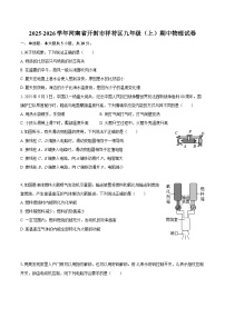 2025-2026学年河南省开封市祥符区九年级（上）期中物理试卷-自定义类型