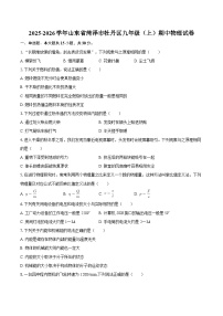 2025-2026学年山东省菏泽市牡丹区九年级（上）期中物理试卷-自定义类型