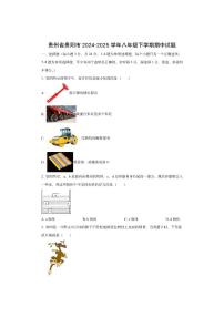 贵州省贵阳市2024-2025学年八年级下学期期中物理试卷（学生版）