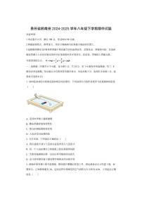 贵州省黔南布依族苗族自治州2024-2025学年八年级下学期期中物理试卷（学生版）