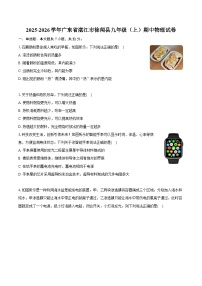 2025-2026学年广东省湛江市徐闻县九年级（上）期中物理试卷（含答案+解析）