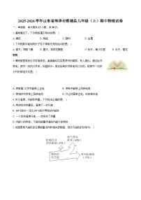 2025-2026学年山东省菏泽市鄄城县九年级（上）期中物理试卷（含答案+解析）