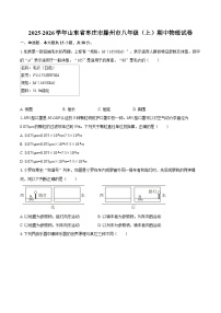 2025-2026学年山东省枣庄市滕州市八年级（上）期中物理试卷-自定义类型