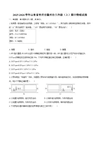 2025-2026学年山东省枣庄市滕州市八年级（上）期中物理试卷-自定义类型