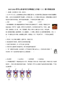 2025-2026学年山东省枣庄市峄城区九年级（上）期中物理试卷-自定义类型