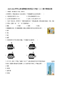2025-2026学年山东省聊城市东阿县八年级（上）期中物理试卷-自定义类型