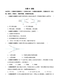 中考物理二轮复习高频考点训练专题03 透镜（2份，原卷版+解析版）