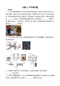 中考物理三轮冲刺易错题精练专题14 声学填空题（2份，原卷版+解析版）