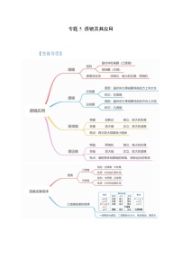 中考物理一轮复习考点讲与练专题5 透镜及其应用（2份，原卷版+解析版）