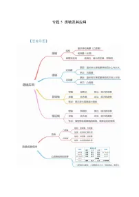 中考物理一轮复习考点讲与练专题5 透镜及其应用（2份，原卷版+解析版）