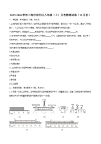 2025-2026学年上海市闵行区八年级（上）月考物理试卷（12月份）（含答案+解析）