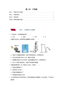 中考物理一轮复习讲义+练习第2讲  声现象--强化训练（2份，原卷版+解析版）