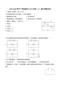2025-2026学年广东省惠州七中九年级（上）期中物理试卷-自定义类型