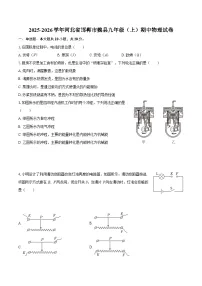 2025-2026学年河北省邯郸市魏县九年级（上）期中物理试卷-自定义类型