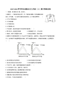 2025-2026学年河北省衡水市九年级（上）期中物理试卷-自定义类型