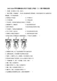 2025-2026学年湖南省永州市宁远县九年级（上）期中物理试卷-自定义类型