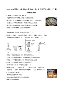 2025-2026学年山东省威海市火炬高技术产业开发区九年级（上）期中物理试卷-自定义类型