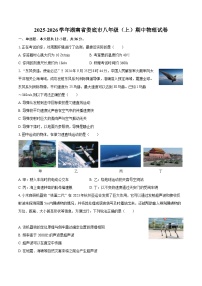 2025-2026学年湖南省娄底市八年级（上）期中物理试卷-自定义类型