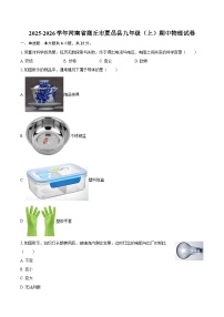 2025-2026学年河南省商丘市夏邑县九年级（上）期中物理试卷-自定义类型