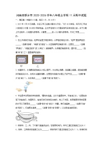 河南省新乡市2025-2026学年八年级上学期11月期中 物理试卷（学生版）