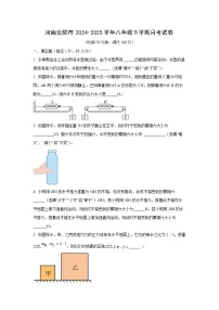 河南安阳市2024-2025学年八年级下学期第一次月考物理试卷（学生版）