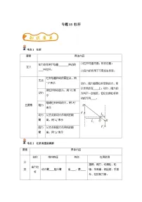 中考物理一轮复习考点精练（基础+提升）专题13 杠杆（2份，原卷版+解析版）