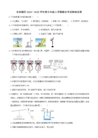 湖北省武汉市东西湖区2024-2025学年九年级上学期期末考试物理试题