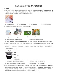 湖北省武汉市洪山区2024-2025学年九年级上学期期末考试物理试题（含答案）