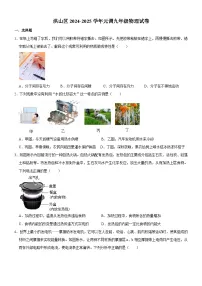 湖北省武汉市洪山区2024-2025学年九年级上学期期末考试物理试题（含答案）