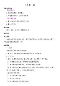 初中物理人教版（2024）八年级下册重力教案