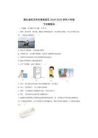 湖北省武汉市东湖高新区2024-2025学年八年级下学期期末物理试卷（学生版）
