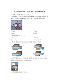 湖北省武汉市2025-2026学年八年级上学期10月月考物理试卷（学生版）