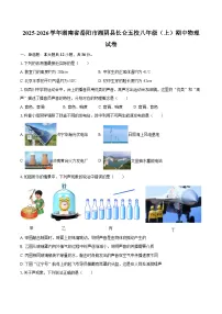 2025-2026学年湖南省岳阳市湘阴县长仑五校八年级（上）期中物理试卷-自定义类型