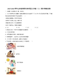 2025-2026学年山东省菏泽市东明县九年级（上）期中物理试卷-自定义类型