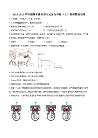 2025-2026学年湖南省株洲市天元区九年级（上）期中物理试卷-自定义类型