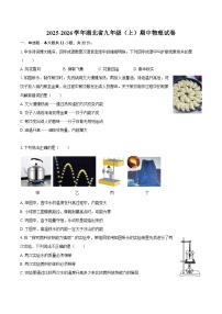 2025-2026学年湖北省九年级（上）期中物理试卷-自定义类型