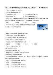 2025-2026学年黑龙江省七台河市新兴区九年级（上）期中物理试卷-自定义类型