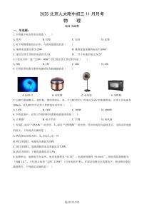 2025北京人大附中初三上11月月考物理试卷 (教师版)