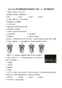 2025-2026学年湖南省邵阳市新邵县九年级（上）期中物理试卷-自定义类型