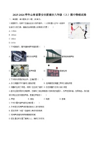 2025-2026学年山东省泰安市肥城市八年级（上）期中物理试卷-自定义类型