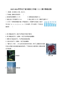 2025-2026学年辽宁省本溪市八年级（上）期中物理试卷-自定义类型