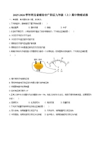 2025-2026学年河北省廊坊市广阳区九年级（上）期中物理试卷-自定义类型