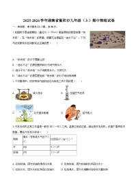 2025-2026学年湖南省衡阳市九年级（上）期中物理试卷-自定义类型