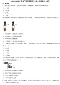 2024-2025年广东省广州市番禺区八年级上学期期末物理试卷（含答案）
