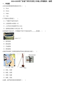 2024-2025年广东省广州市天河区八年级上学期期末物理试卷（含答案）
