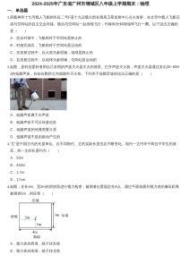 2024-2025年广东省广州市增城区八年级上学期期末物理试卷（含答案）