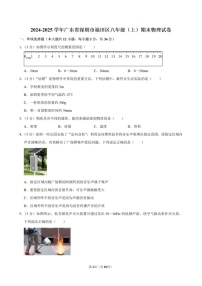 2024-2025年广东省深圳市福田区八年级上学期期末物理试卷（含答案）