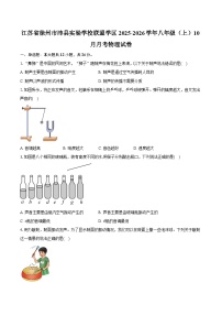 江苏省徐州市沛县实验学校联盟学区2025-2026学年八年级（上）10月月考物理试卷