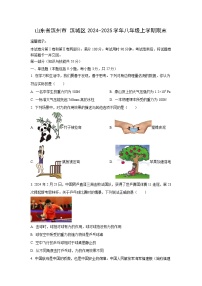山东省滨州市 滨城区2024-2025学年八年级上学期期末物理试卷（学生版）