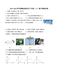 2025-2026学年湖南省益阳市八年级（上）期中物理试卷-自定义类型